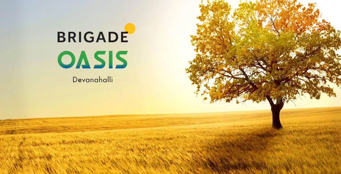 Image for Brigade Oasis
